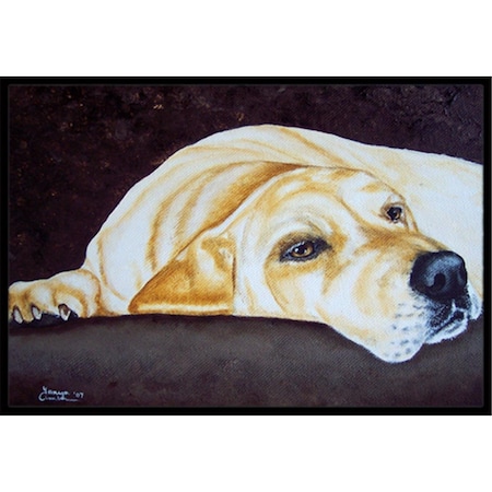 Carolines Treasures Naptime Yellow Labrador Indoor or Outdoor Mat, 18 x 27 CA78331
